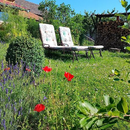 Nettersheim Loft Eifel Idylle 아파트 외부 사진