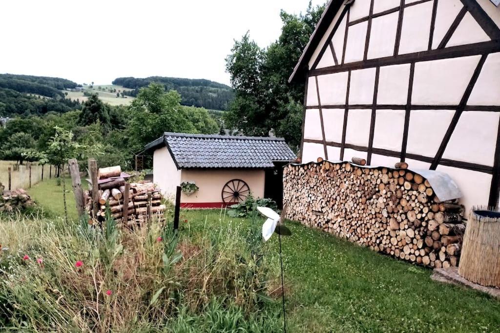 Nettersheim Loft Eifel Idylle 아파트 외부 사진